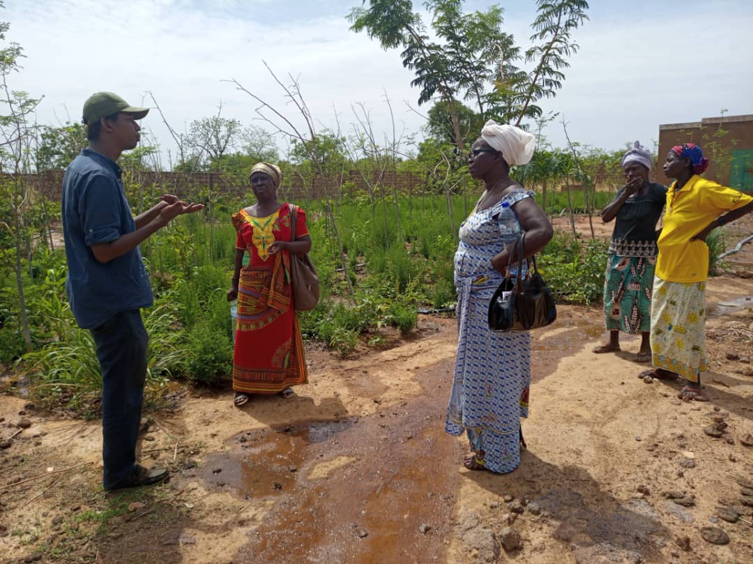 Asso_Tamounte's tweet image. Visite de terrain Tamounte #burkinafaso
#microprojet efficacité ! 
devant #artemisia et #moringa
Lutte contre #paludisme et #malnutrition