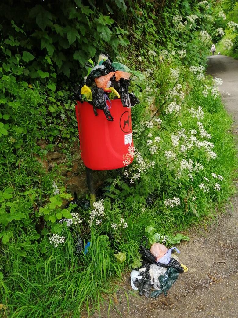 andytilbrook's tweet photo. @eastdevon not a great look for tourists or those who pay their council tax here. This in the Byes, Sidmouth https://t.co/lv5Z6Kjtj8