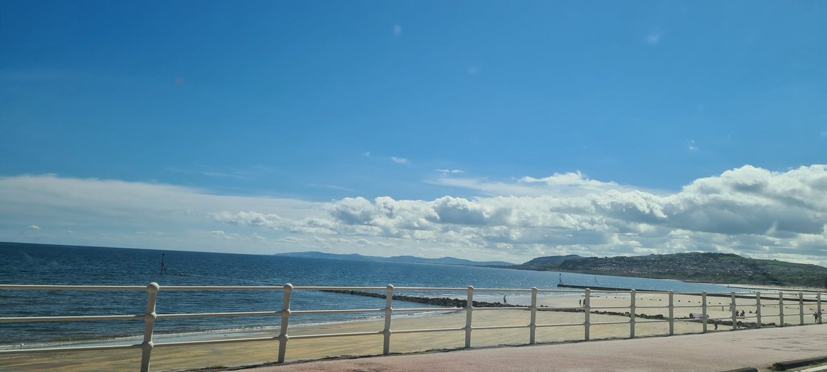 On Par with Nature 🌳 tweet media