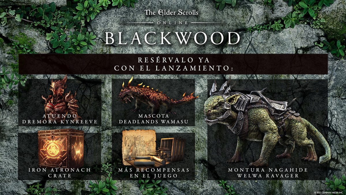 VideojuegosGAME's tweet photo. ¡Todo el contenido de #ESO hasta la fecha, en esta COLLECTION BLACKWOOD!
Consíguela ya en GAME y llévatelo con este DLC con contenido para tu partida 🐉
@KochMedia_es @bethesda_ESP

https://t.co/si6RNreBV7 https://t.co/b7hfn9wOFt