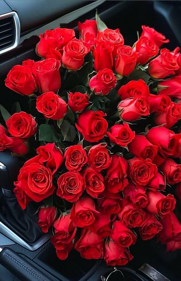 Peter_poesia's tweet photo. #LetrasyLatidos
#BuenosDiasATodos
#FelizViernes 🌹
Contigo quiero todo
Versos de tus labios
En cada beso salen..
Me haces especial,como
Tu esencia que es azahar
Jazmines y rosas frescas.
Acariciarnos el Alma en
Cada mirada..en nuestro
Paraíso que es
Nuestro amor
#peter_poesia 🌹 https://t.co/Tow1DKyctd