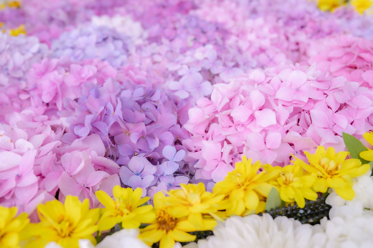 𝔸𝕝𝕖𝕩𝕚𝕥𝕠 ℝ𝕒𝕜𝕠𝕦𝕟 He Waschbar Twitter