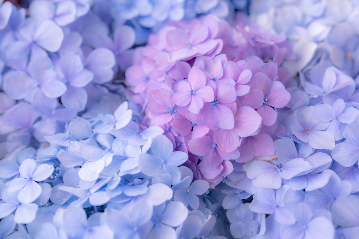 𝔸𝕝𝕖𝕩𝕚𝕥𝕠 ℝ𝕒𝕜𝕠𝕦𝕟 He Waschbar Twitter