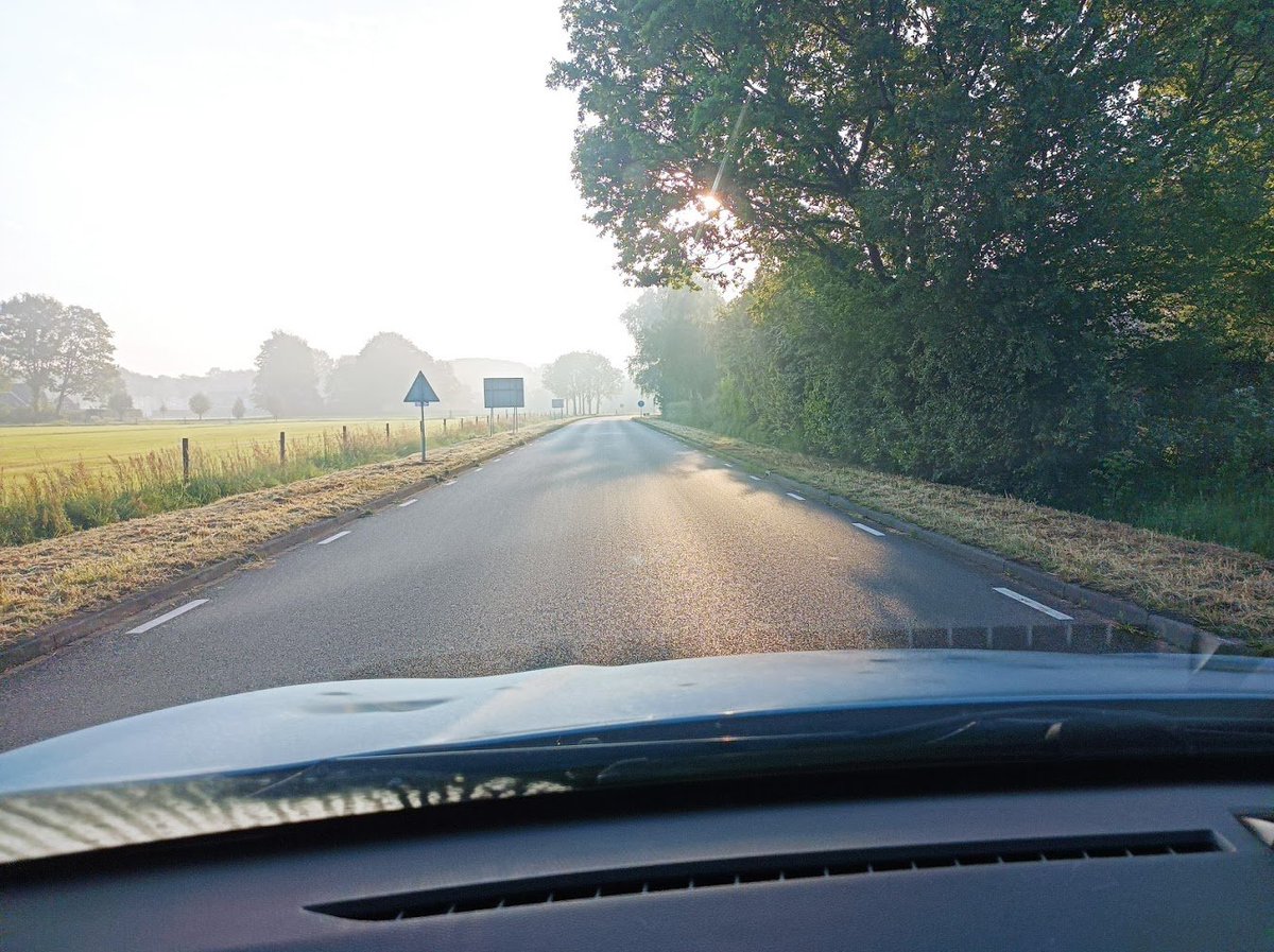 Arend_700's tweet photo. Helaas zijn in @gem_Heerde de mooiste #bermen al weer gemaaid, weg bloeiende #schermbloemigen, weg voeding voor #insecten, hoe zat het ook al weer met de #biodiversiteit @yasemincegerek? in Heerde? @Natuurmonument https://t.co/uSlmC9OqNZ
