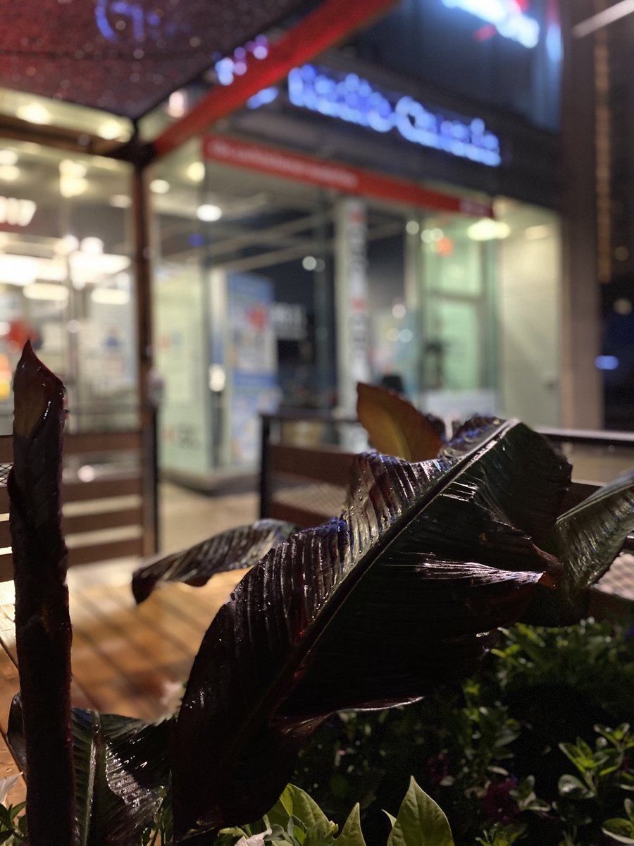 Craig Norris tweet media