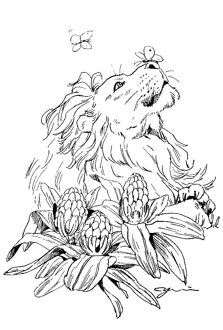 諸事情で描いたライオンですが、思いの外可愛くなったので投稿します🦋 