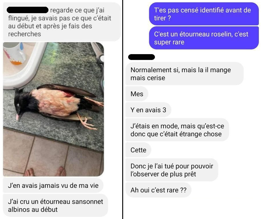 Pierre Rigaux tweet media