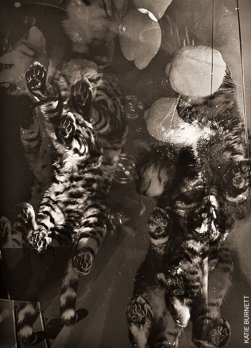 Book of the Week | ‘Cabin Fever’ by Katie Burnett, published by <a href="/APE_editions/">Art Paper Editions</a> in 2021, a photographic display of self-portraiture, where Burnett messes with contrast and composition to vast extremes. Find out more about the book and order your copy: bit.ly/3g3G7Fl