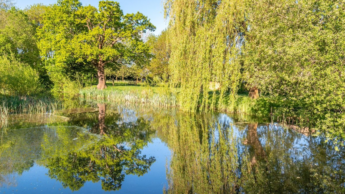 GuildfordBC's tweet photo. We hope you enjoy our parks and countryside this weekend ☀️ 

Please continue to:

👉 Follow government guidelines and the new #CountrysideCode.
👉 Help us protect nature and wildlife.
👉 Don’t toss your litter.

Visit 👉 https://t.co/DTuMoxMMwd

#KeepGuildfordClean https://t.co/5QTqxrw13B
