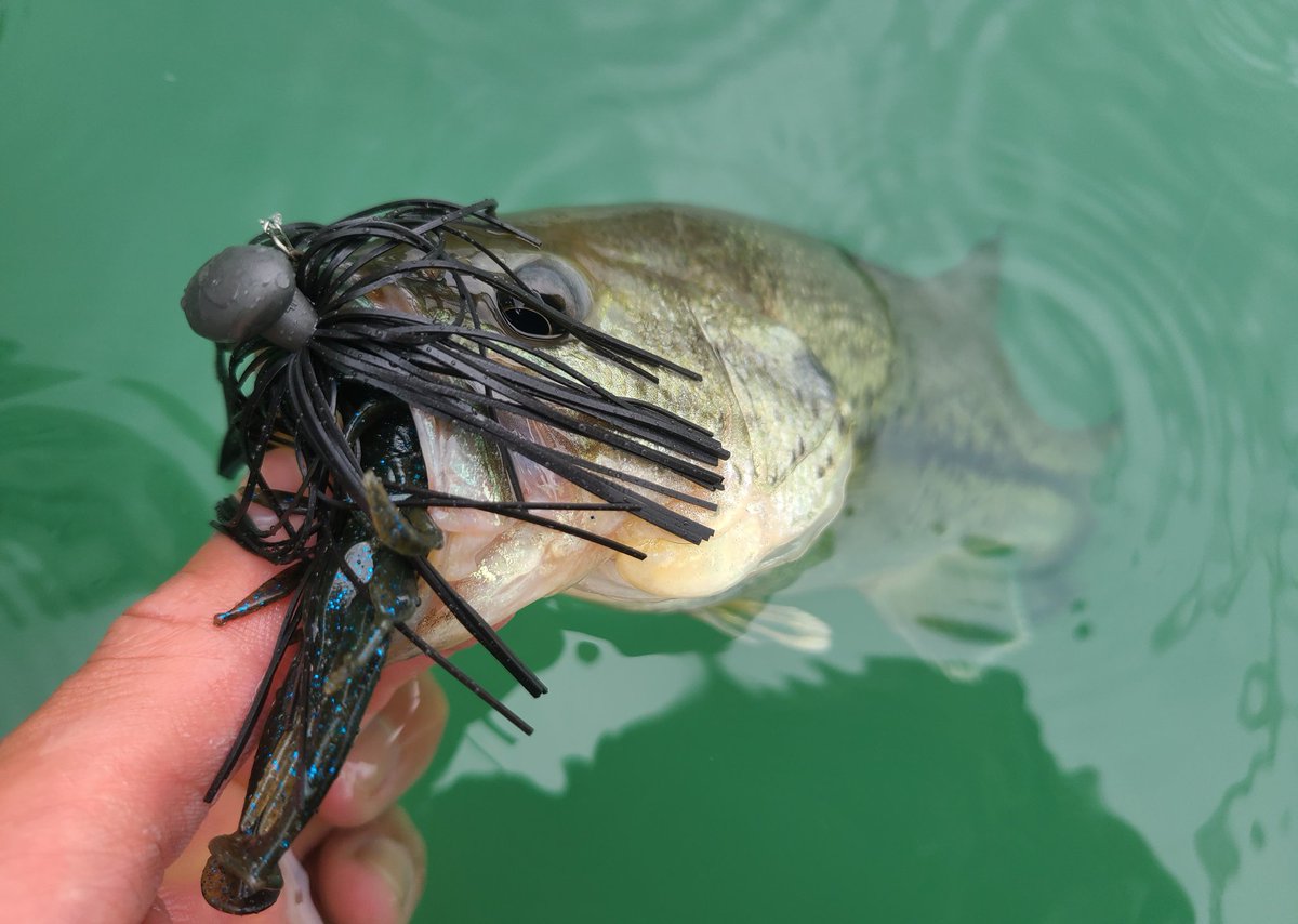 藤田京弥 Al Twitter ナカタジグ3 8oz Rv Bug3インチ 最近はフットボールジグのトレーラーに バグサンを使うことが多いです 動かした時に腕がバタバタしていい感じ T Co Zjdj70ph5x Twitter