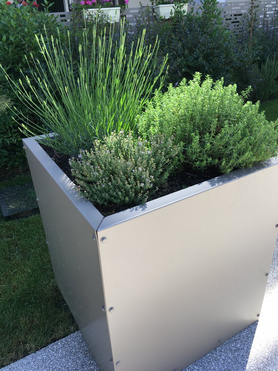 Senioriales de Bassens-Savoie tweet media