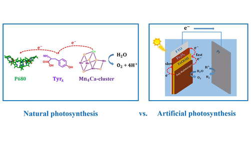 ACES_Journals's tweet photo. Fei Li et al. of Dalian University of Technology report a semiconductor/molecular catalyst hybrid #photoanode with FeOOH as an #ElectronTransfer relay https://t.co/Q3ZiEX2N0x https://t.co/QaBOzrCukm
