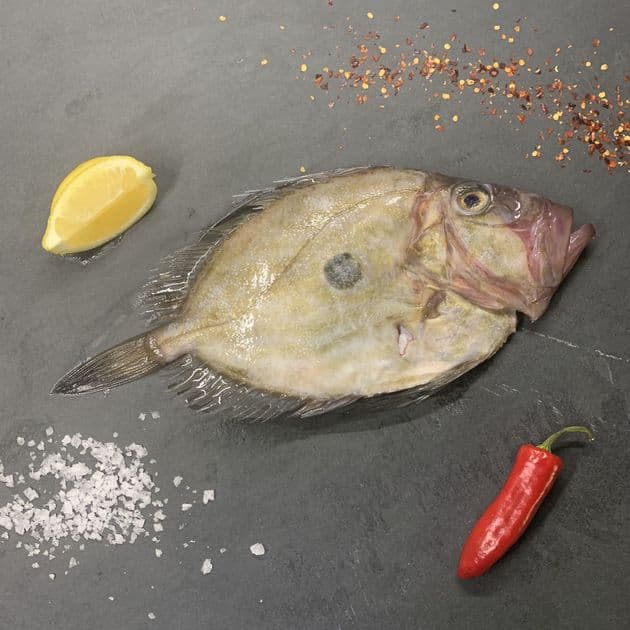 SafetyDave1000k's tweet photo. @wingofstmawes More the point... which fish? 
There are so many wonderful varieties not just cod and haddock. 
I love John Dory and chips sitting on #Newlyn Quay......#Ansome 😋 https://t.co/L3vnRlFJoI