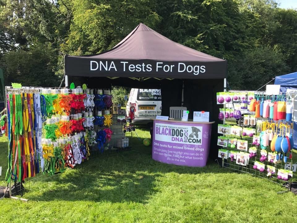 Finally my trade stand gets an outing this weekend. I’m off to #Dogstival in Burley #newforest today. #dogshow #events #countryshow #lymotweetup #biz4dogs #thepetsbiz #WOW #petworkinghour