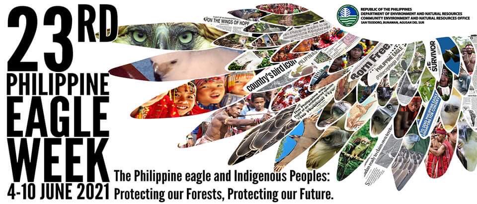 denrbunawan's tweet photo. June 4 marks the start of Philippine Eagle Week, on its 23rd year, the theme is: “The Philippine eagle and Indigenous Peoples: Protecting our forests, protecting our future”.
Let us work together in the protection of the Philippine Eagle and our forests.
  #TayoAngKalikasan https://t.co/LXAIGQ0bsr