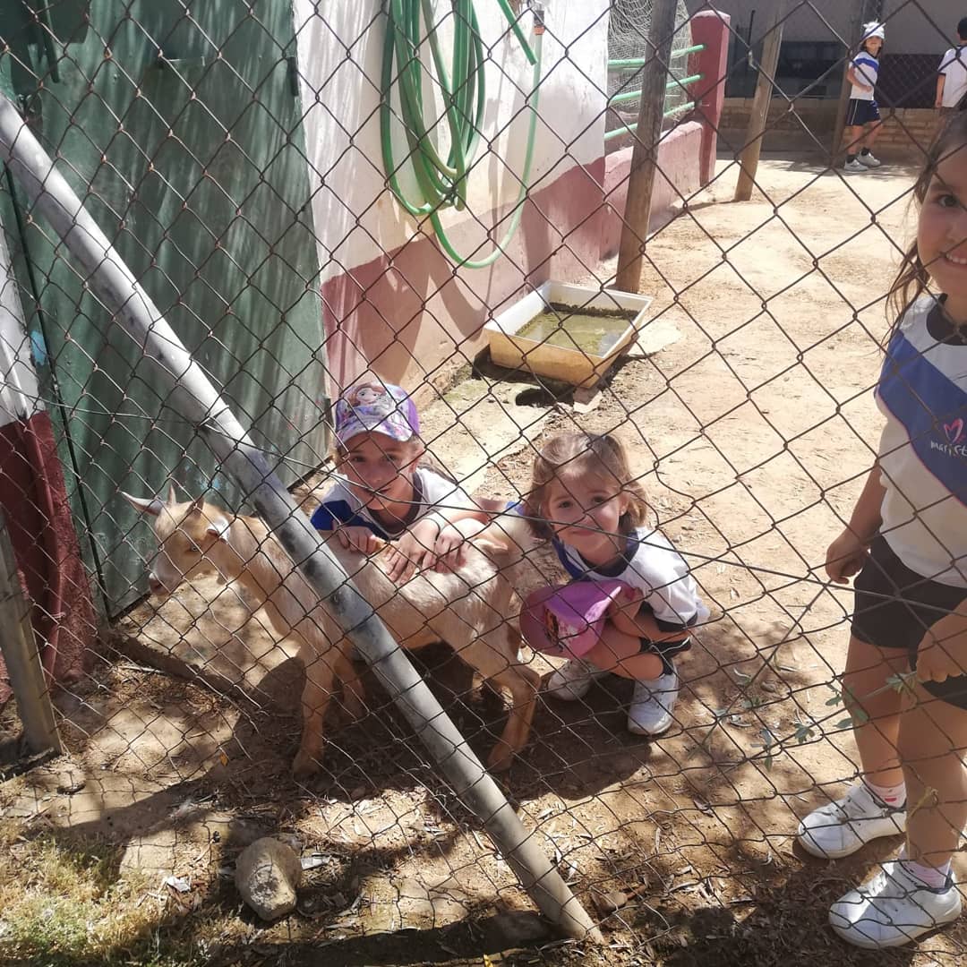 Nuestros alumnos de 3 y 4 años han visitado la Granja Escuela Cuna. Esta actividad tiene enormes beneficios , ya que los niños aprenden de manera directa sobre el entorno natural. Nuestros peques han disfrutado muchísimo, y ha sido nuestro broche final al proyecto del  trimestre.