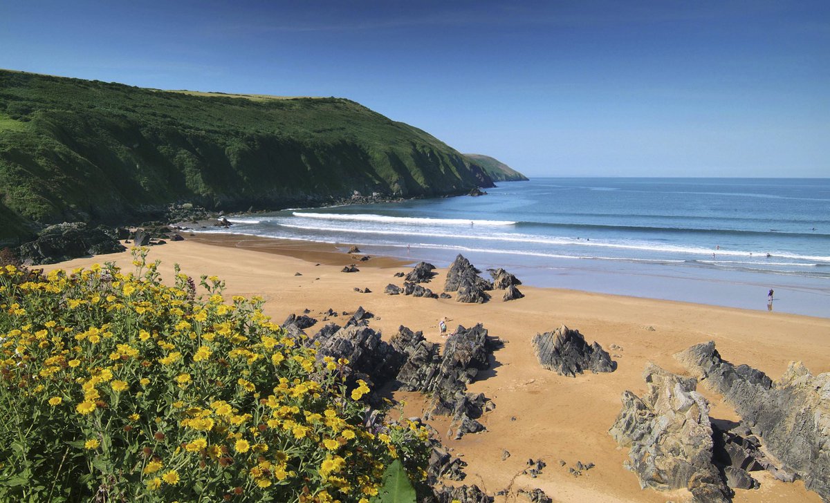 Andy Cooper tweet media