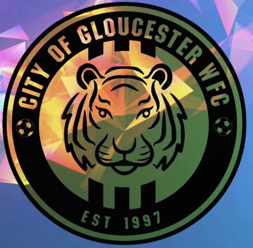 We are holding a raffle to raise funds for new goals, floodlights and training kit for our girls and women’s team.

We are looking for donations of prizes from local businesses and kind individuals. 

If you are able to help please get in touch! 
#Gloucester