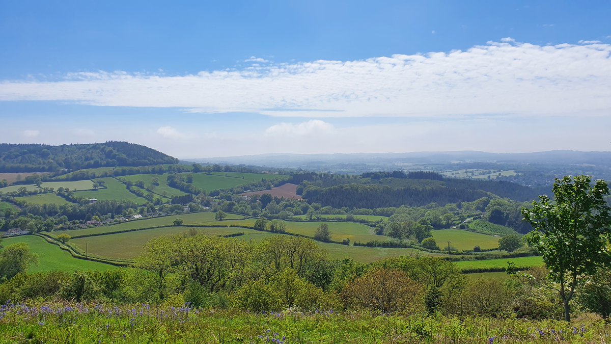 Sue Cade💙😁 tweet media