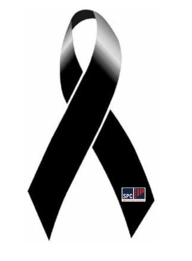 SPC - Mossos i PL tweet media