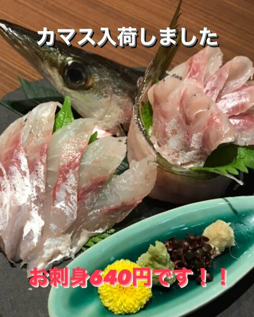 花より魚 富山すし居酒屋 カマスのお刺身 握りもあります 本日もお待ちしております 花より魚 花より魚 鮮魚 富山駅 富山駅前 きときと 寿司 ランチ 富山寿司 富山グルメ T Co Cxb1gro8n2 Twitter