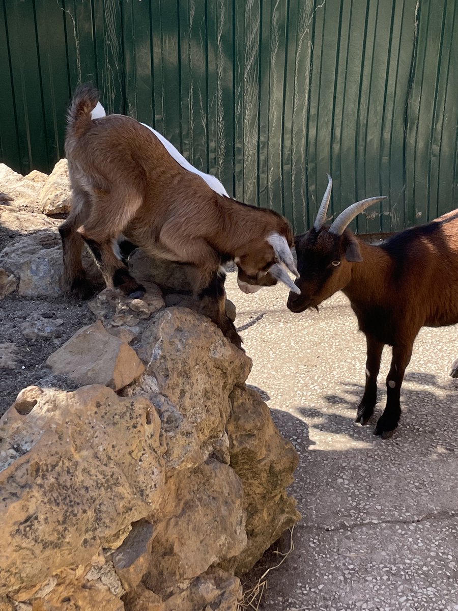 The right David and Golias atitude…