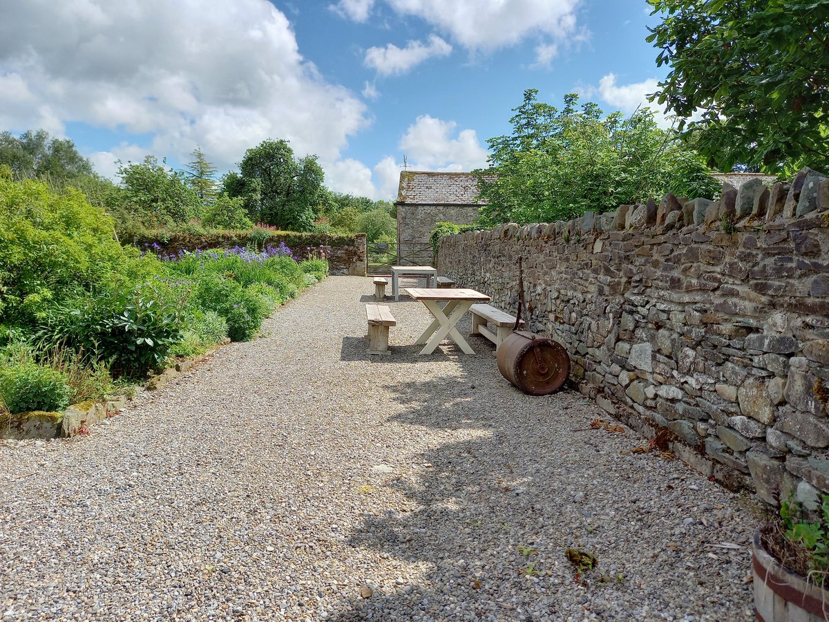 A joy to visit <a href="/TheGreenBarn7/">Burtown House</a> yesterday, buy tasty wine, visit the kitchen garden and chat to the friendly chef who gave me some yummy baby courgettes.
A very welcoming and inspiring place.