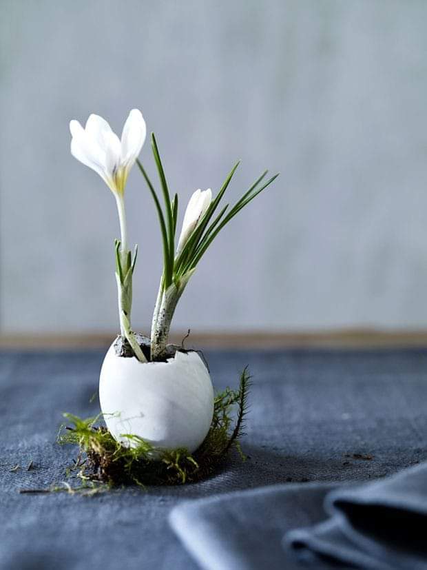 صباح الورد ياكل الورد #صباحكن حلو ❤️
# جمعة مباركة عليكم وعلينا بالخير