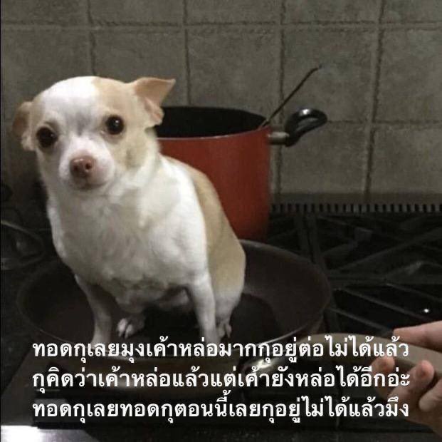 manggaphun's tweet photo. ชอบจังผุ้ชายห้อยพระเครื่อง #tenlee_1001 https://t.co/dkEm8jV4uK