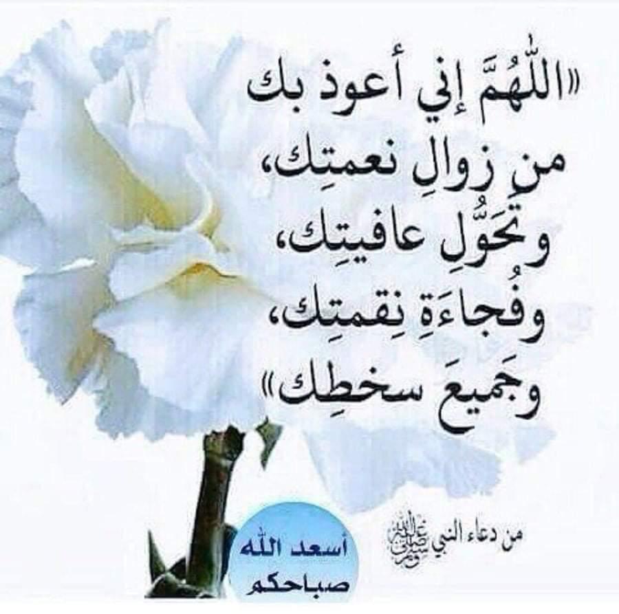 @856aApF0d99xK2Y @ho88_sh @1jfl1 @sara_230s @sarsora_789 @7aleem__7 @Nabi1l12 @23zvcz @1jflf @nabi1l1 @sara_345s @sara_900s @s_aa_i_f @followhalep__ @Official_Help1 @EldodgFahd @n2333v2ucKDIzI1