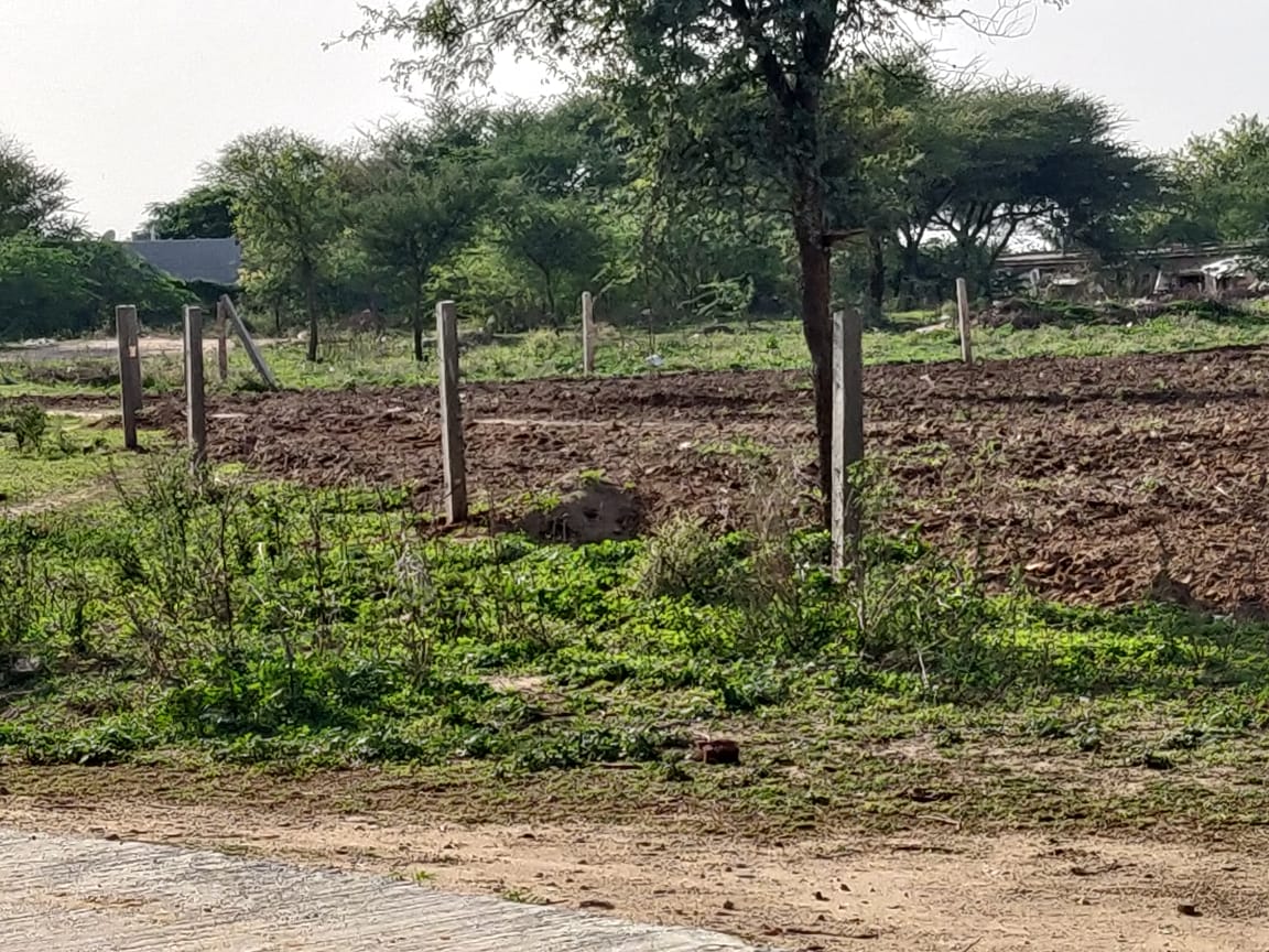 aneeshkhanna103's tweet photo. @DlfPhase @MunCorpGurugram @DC_Gurugram @moeff @kMakrandIAS @SaveAravali @htTweets @IpsitaTOI @anilvijminister Green biodiversity park land lost due to corrupt authorities - land belonging to MCG @MunCorpGurugram @dtcphry @moeff @CPCB_OFFICIAL @cmohry @PMOIndia @bagishjhaTOI @SaveAravali @AravalliBachao @punjabharyanahc @gurgaonpolice @police_haryana via illegal road at dlf-3 v-10 road https://t.co/1ugiKTCqaO