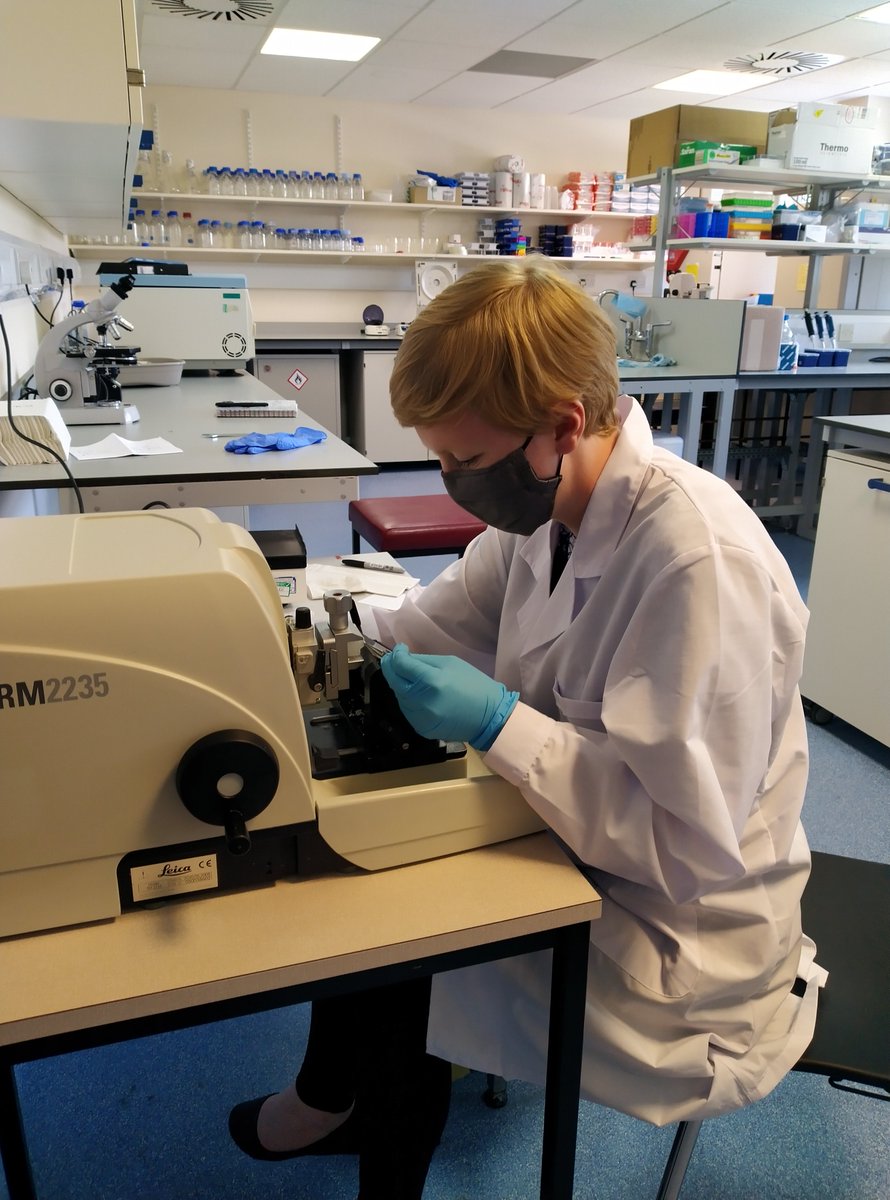 VS_Marine's tweet photo. The @UoABioSci MSc students have had a busy week in the lab! Here's Kallen learning how to section mollusc mantle tissue that she embedded in wax. SO impressed with the awesome cell-labelling experiments the students are running in the lab this summer #labskillz #newpi 🐌🐌 https://t.co/VmjhuhuCWE