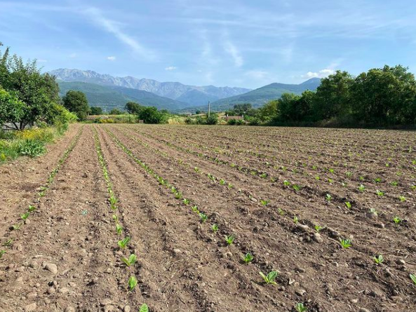 YaraIberian's tweet photo. 🏆 ¡Ya tenemos ganadores de nuestro sorteo #OrgulloCompartido!

1⃣Jordi Biscamps, ganador de fertilizantes Yara por valor de 1.000€
2⃣Antonio Serrano, @PISTACHOJANERO y Juan Francisco Pérez, ganadores de una motosierra, cada uno.

📸 ¡Estas son sus fotos! ⬇️

¡Enhorabuena! 🆙 https://t.co/xeEgmBZukF