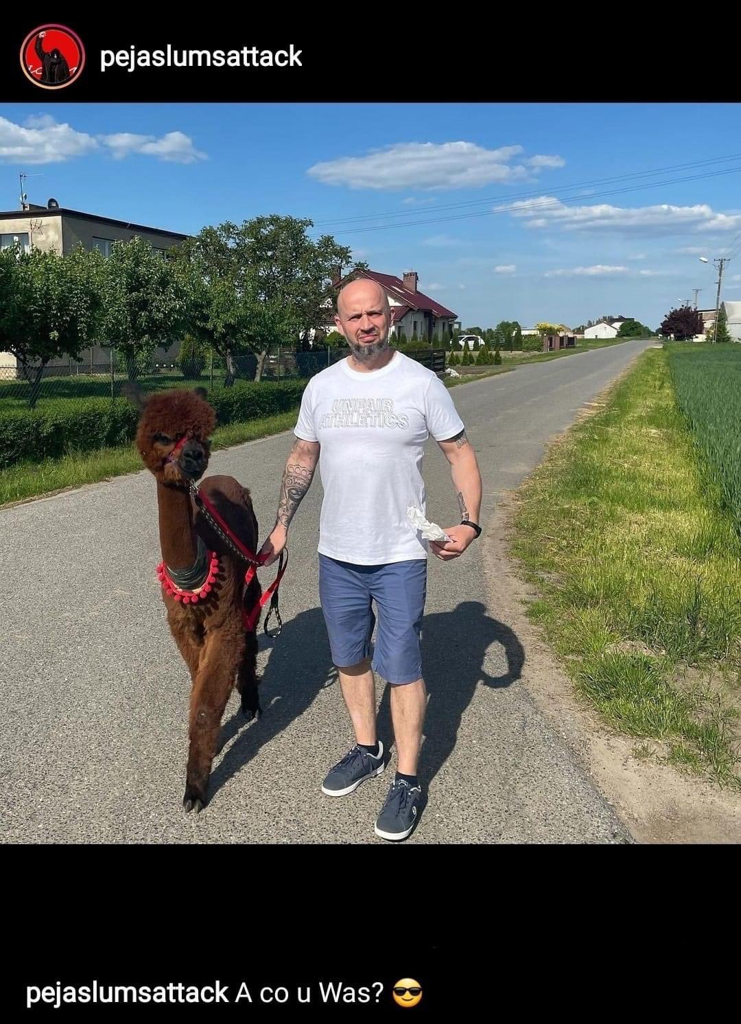 E3BT-QpXoAsqwvN?format=jpg&name=large