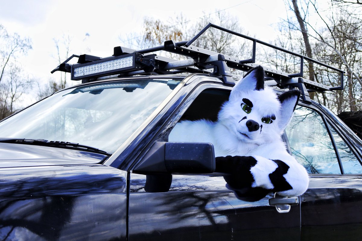 Werkfuchs (@werkfuchs) on Twitter photo Happy Fursuitfriday^^
πΈ <a href="/Furball_Dakoru/">πΊπΎ Dakoru πΎπΊ</a>
π <a href="/LunoWroo/">Wildspotworks Fursuits ππ</a>
#Fursuitfriday Happy Fursuitfriday^^
πΈ <a href="/Furball_Dakoru/">πΊπΎ Dakoru πΎπΊ</a>
π <a href="/LunoWroo/">Wildspotworks Fursuits ππ</a>
#Fursuitfriday