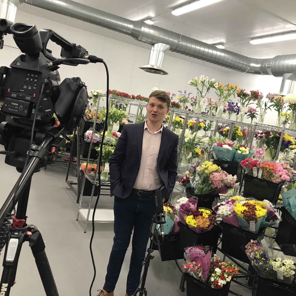 Eon Visual Media tweet media