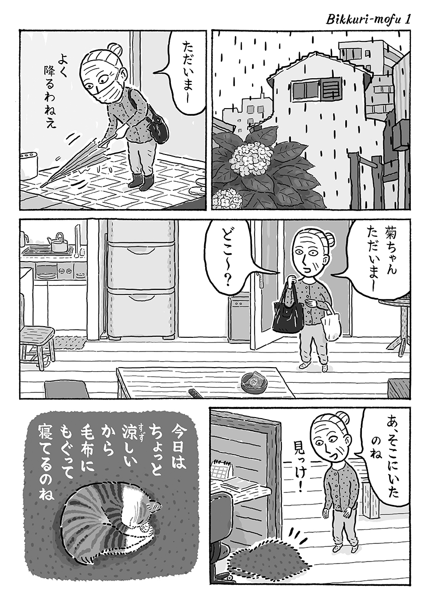 2ページ猫漫画「びっくり毛布」 #猫の菊ちゃん 