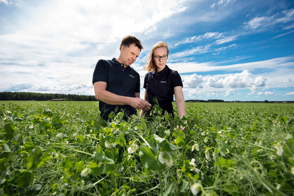 HKScan joins the Call on Carbon climate initiative with dozens of Nordic companies. The Call on Carbon initiative aims to accelerate climate investments and the launch of effective carbon pricing. hkscan.com/en/newsroom/ne… #calloncarbon #climateaction <a href="/Haga_Initiative/">Hagainitiativet</a> <a href="/CLC_fi/">Climate Leadership Coalition</a>