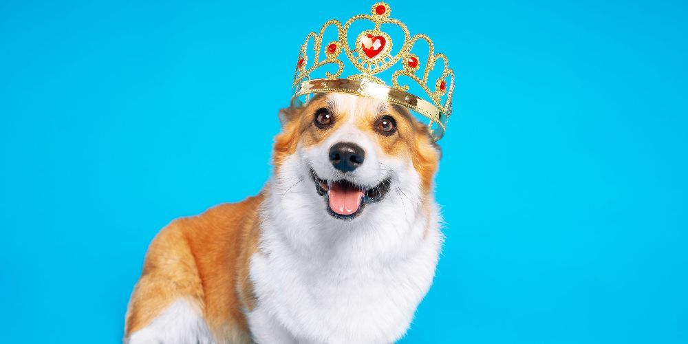 MarketResponse tweet media