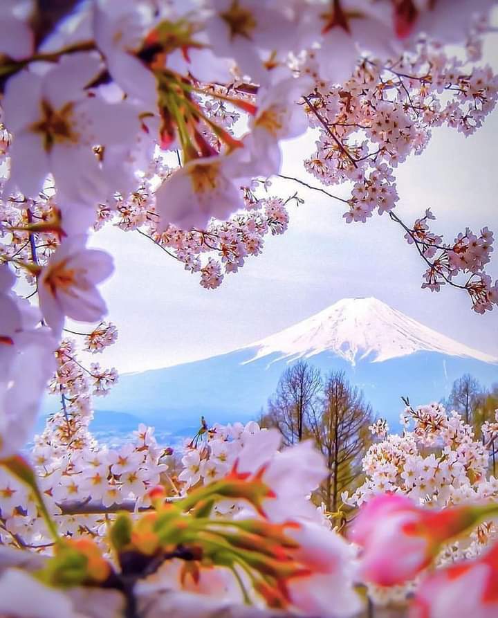 TLeoni311's tweet photo. Good morning for all 🤍🌼🤍 https://t.co/min0adTVBO