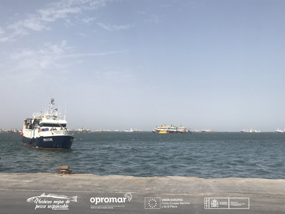 Opromar1's tweet photo. Esta semana un equipo técnico ha realizado la #auditoría interna de los #buques "Carmen e Pilar","Virgen de Consolación",e "Isla de Santa" que asegura el cumplimiento de los requisitos de nuestra #marca de garantía "#MerluzaNegra de #PescaResponsable".
#ResponsabilidadSocial https://t.co/SoGjsp0iUs
