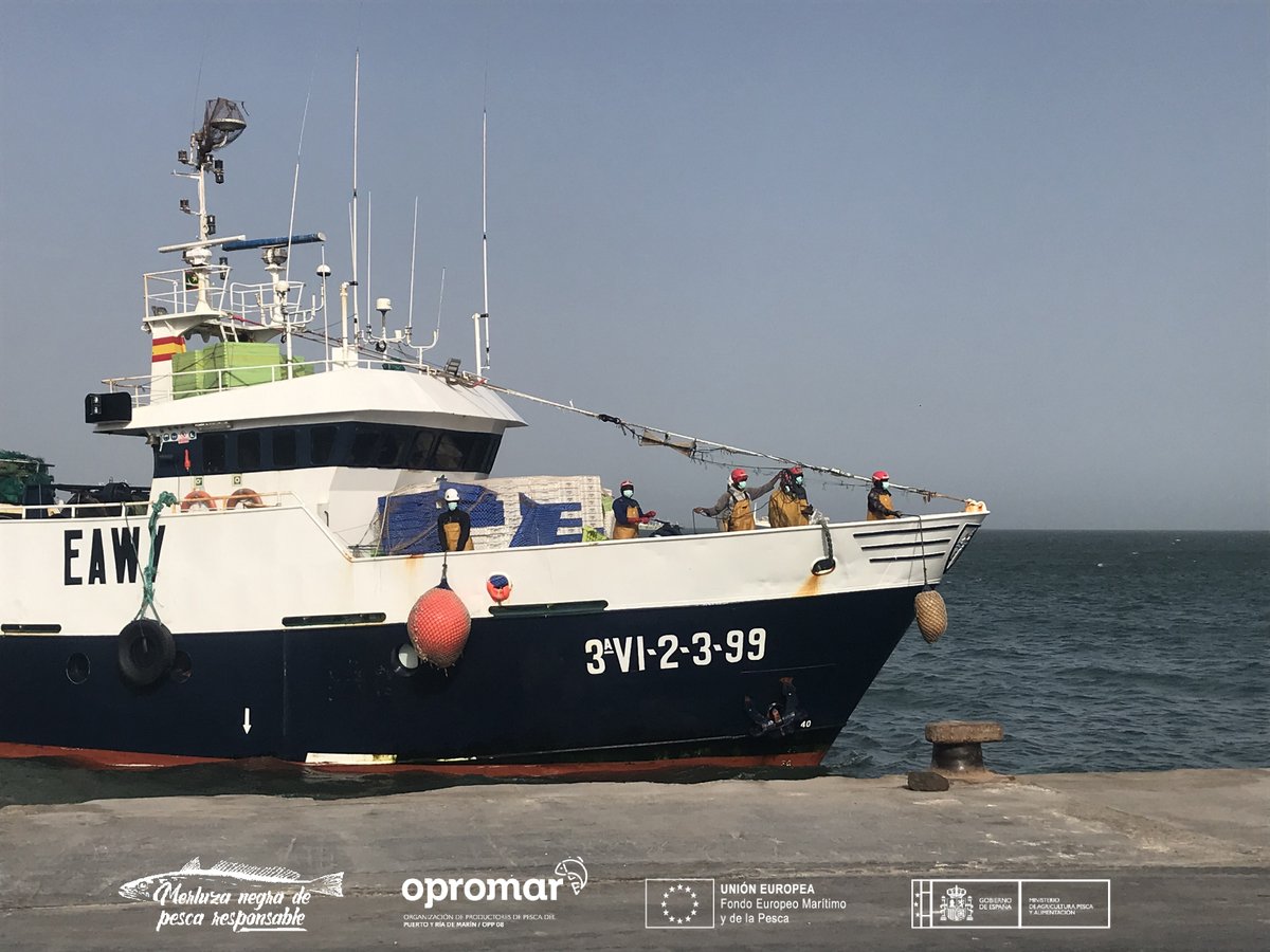 Opromar1's tweet photo. Esta semana un equipo técnico ha realizado la #auditoría interna de los #buques "Carmen e Pilar","Virgen de Consolación",e "Isla de Santa" que asegura el cumplimiento de los requisitos de nuestra #marca de garantía "#MerluzaNegra de #PescaResponsable".
#ResponsabilidadSocial https://t.co/SoGjsp0iUs