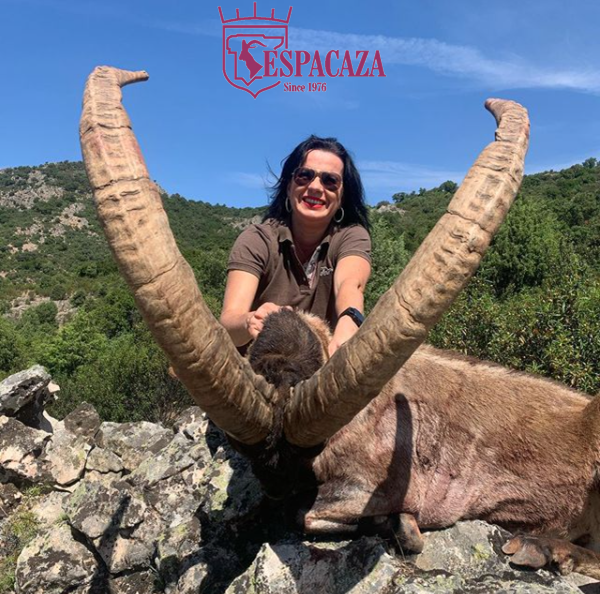 Amazing ibex harvested in one of our prime areas. Congratulations !!!
#spanishibex #grandslamspanishibex #hunt #jagd #chasse #oxota #conservationthroughhunting #cazayconservacion