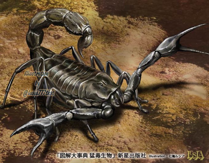 Popular Tweets Of 七海ルシア ドラゴンの最強王図鑑 好評発売中 5 Whotwi Graphical Twitter Analysis