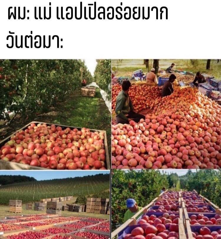 ม่ายยยยยยยยยยยยยยยยยยยย