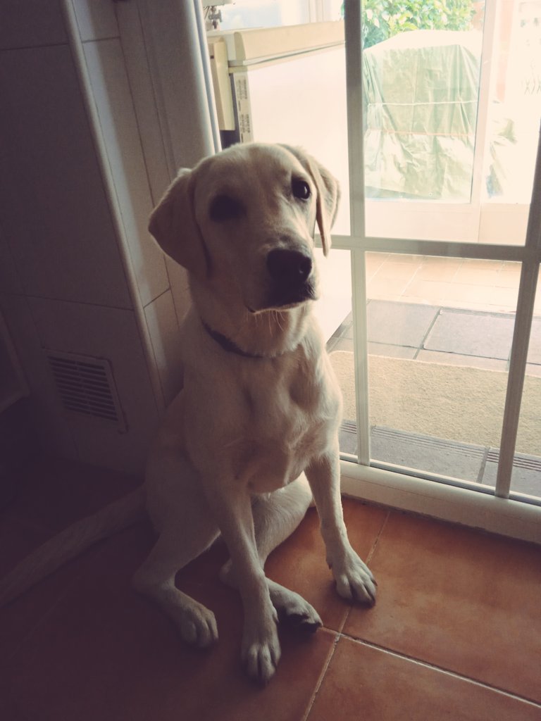 HastonFlow's tweet image. 🤍Parece que hablas jodía🤍