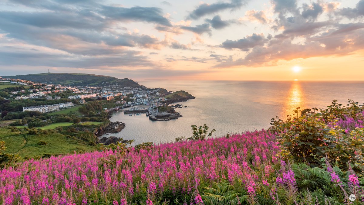 Mark Clinton Johnson tweet media