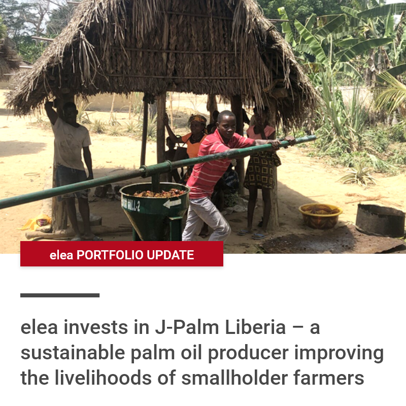 elea Foundation for Ethics in Globalization (@eleafoundation) on Twitter photo Can palm oil production be sustainable and alleviate poverty? Our new portfolio company <a href="/jpalmliberia/">J-Palm Liberia</a> proves that it can!
ow.ly/rSvd50F2KMz
#impactinvesting #socialenterprise Can palm oil production be sustainable and alleviate poverty? Our new portfolio company <a href="/jpalmliberia/">J-Palm Liberia</a> proves that it can!
ow.ly/rSvd50F2KMz
#impactinvesting #socialenterprise