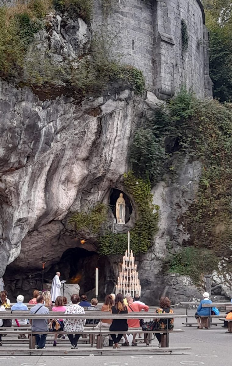 Society of Our Lady of Lourdes tweet media