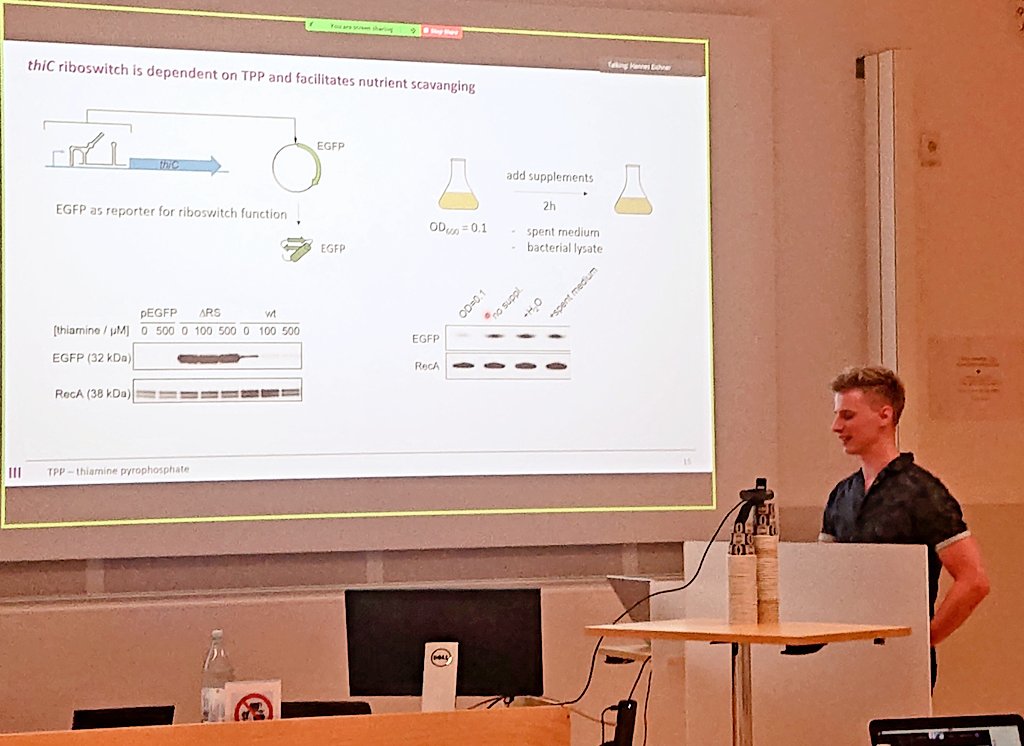 Francesco Righetti tweet media